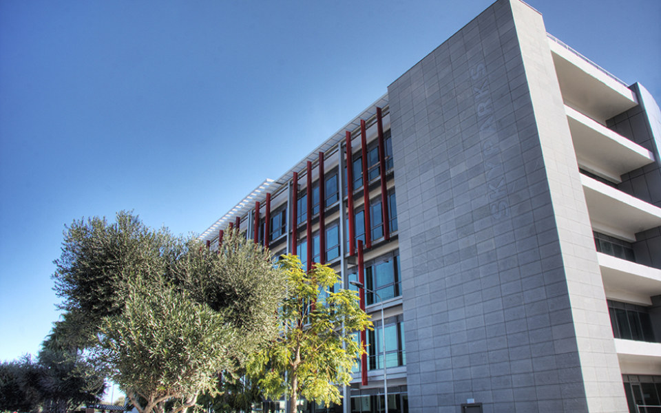 Image Not Found On Media Library