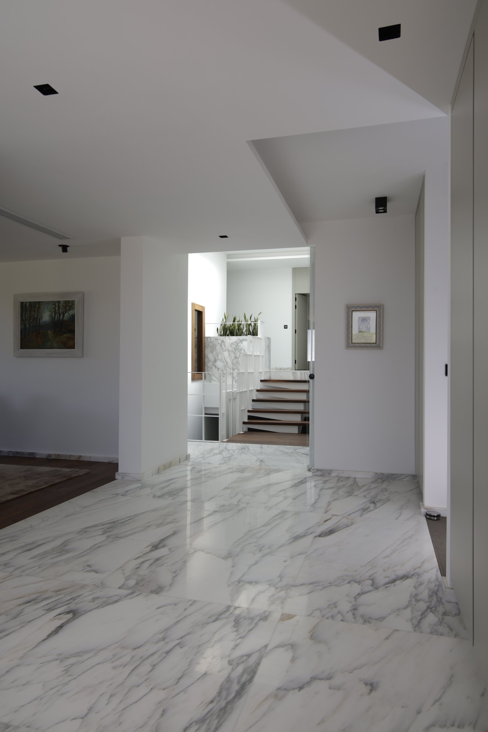 Image Not Found On Media Library